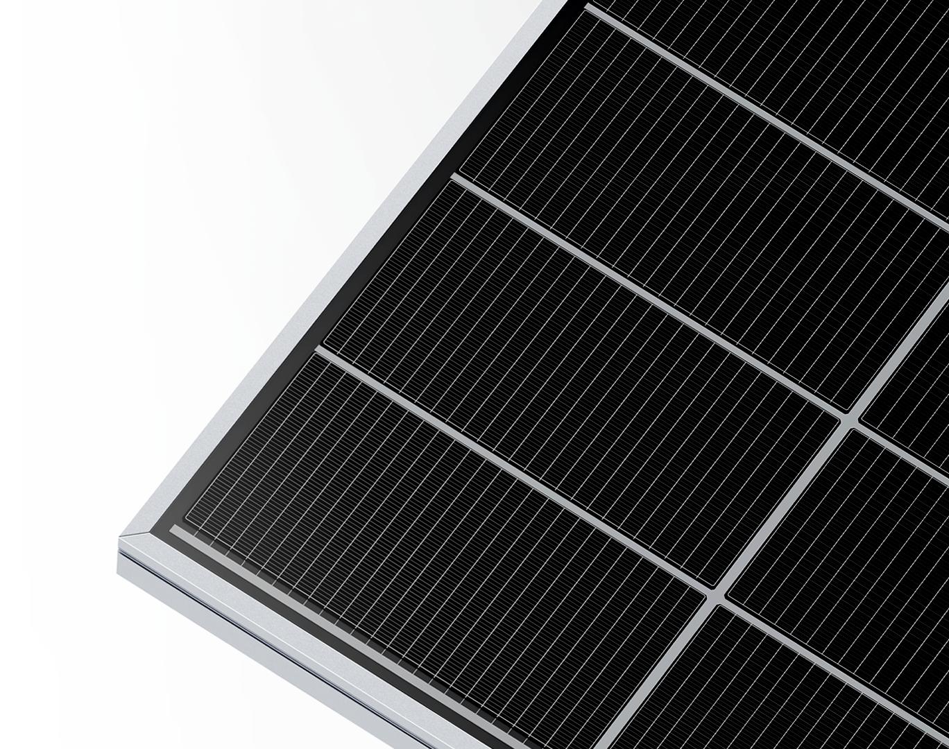 RISEN Energy RSM96-11-450BNDG D.Glass 450W bifacial napelem | Dual Glass | Monokristályos